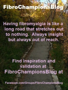 fibrochampionsblog_6